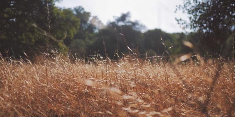意大利多洛米蒂山脉徒步线路详解：从休斯山到布伦塔峰的阿尔卑斯穿越之旅 | 国际旅游与景点推荐