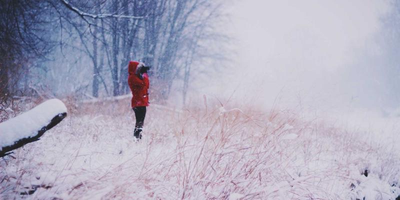 旅游线路45全攻略:解锁跟团游的智慧玩法与隐藏惊喜