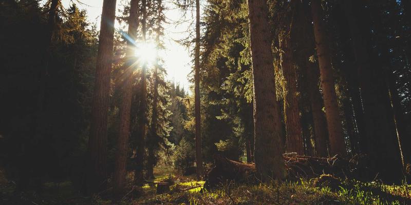 旅游线路57：解锁国内与国际自由行的完美平衡艺术