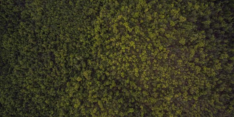 旅游线路60：解锁自由行新体验，从智能预订到深度攻略全解析