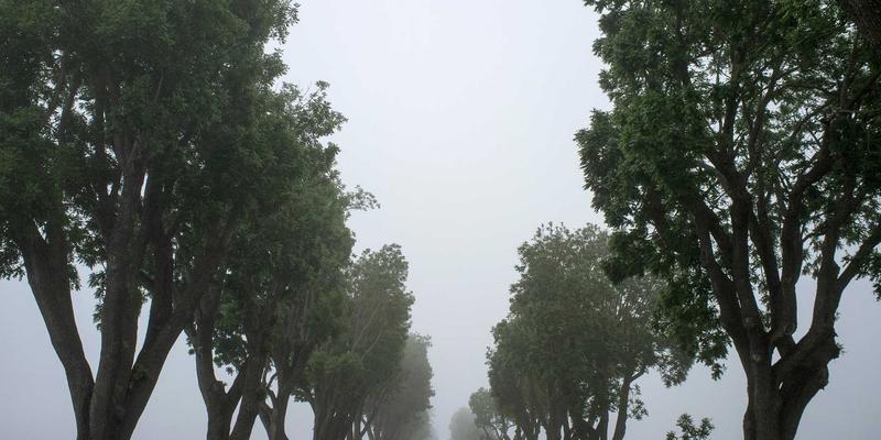 旅游预订全攻略:跟团游与自由行的智慧选择