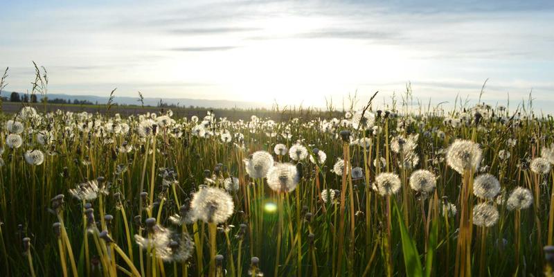 美国66号公路自驾终极指南：从芝加哥到圣塔莫尼卡的历史与文化之旅 | 国际旅游与国内旅游预订攻略