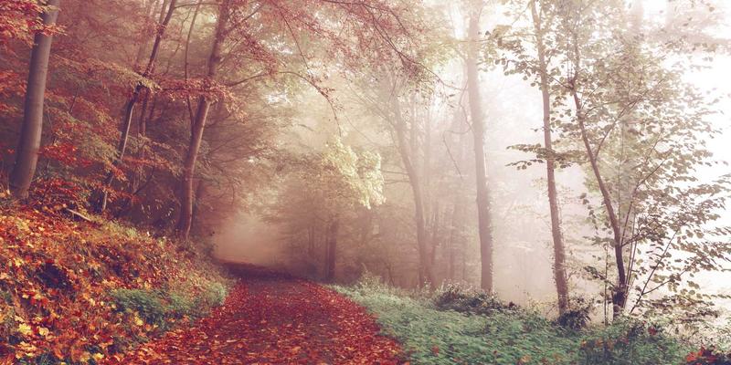 解锁国内自由行新体验:智能预订与个性化线路全攻略