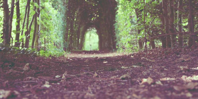 解锁国际旅游新体验：如何规划与预订您的完美旅游线路