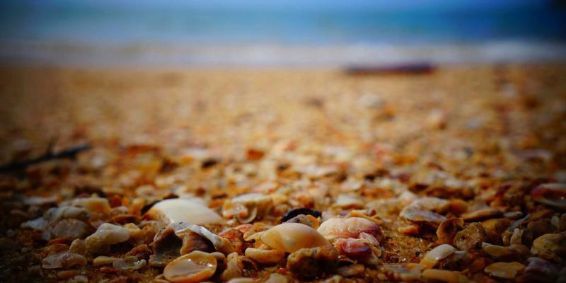 解锁自由行新体验:旅游线路37全攻略,带你发现隐藏的旅行魅力