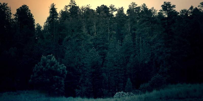 自驾天堂：美国66号公路全程自驾攻略与沿途小众景点深度解析