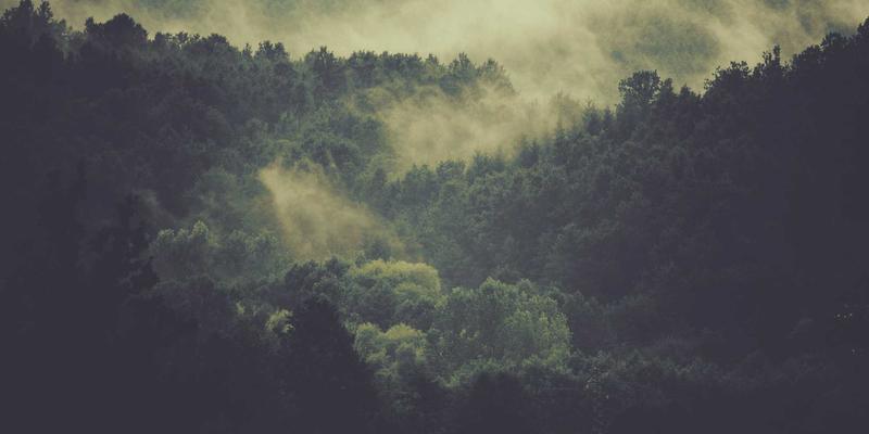 蜜月旅行线路全攻略：从马尔代夫水上屋到欧洲古堡酒店的浪漫跟团游